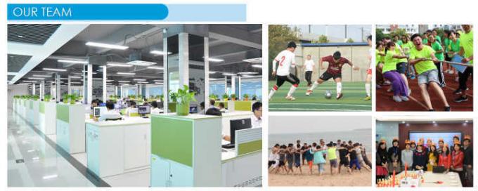 New Style Pet Shop Bambu Serat Pet Bowl Cat Bowl 4