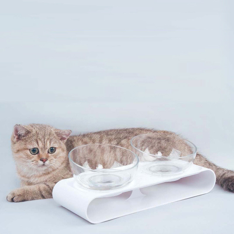 Cat Food Bowl untuk meringankan kelelahan kumis Pet Food & Water Bowls Set of 2